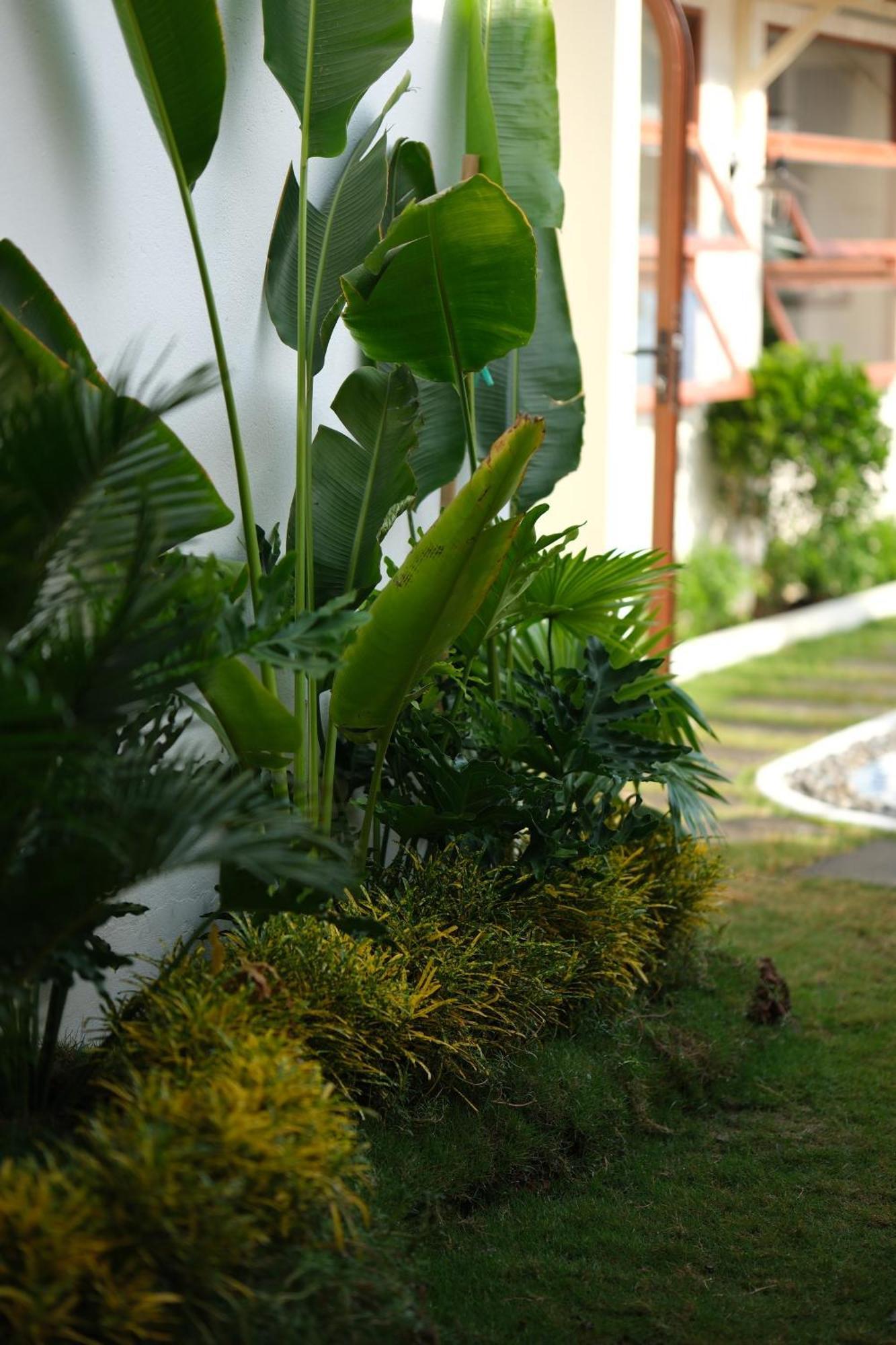 Mon House Hotel Phan Thiet Exterior photo